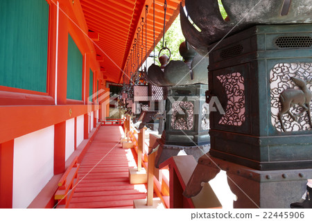 Lanterns of Kasuga Taisha Shrine 22445906