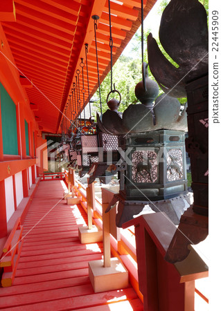 Lanterns of Kasuga Taisha Shrine 22445909