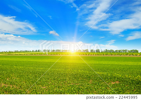 field, sunrise and blue sky field, sunrise and blue sky 22445995