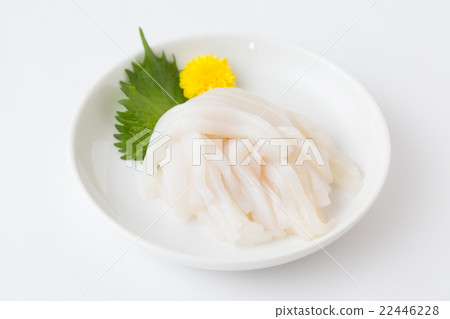 魷魚魷魚 22446228