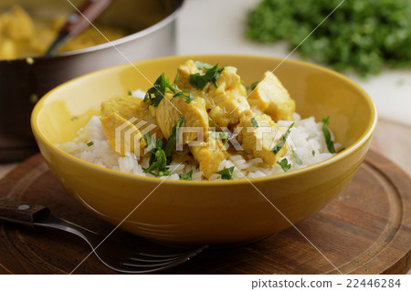 Chicken curry 22446284
