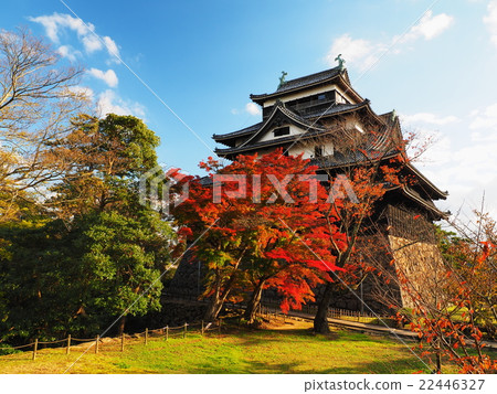Matsue castle of autumn leaves 22446327