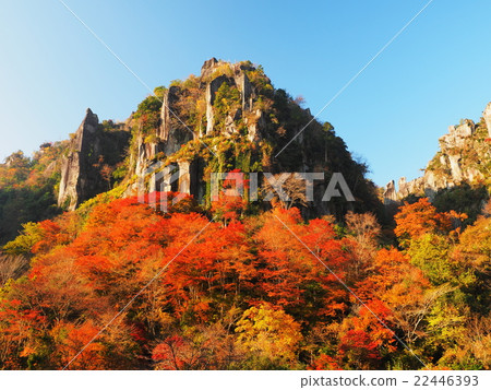 Fukayama gorge in autumnal leaves 22446393