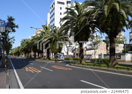 高知追隨者 高知追隨者 22446475