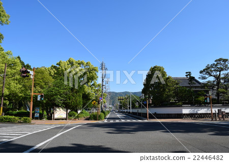 高知追隨者 22446482