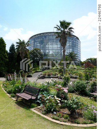 三洋媒體花博物館 千葉市花卉博物館 的花園和溫室 5 千葉市千葉市 照片素材 圖片 圖庫