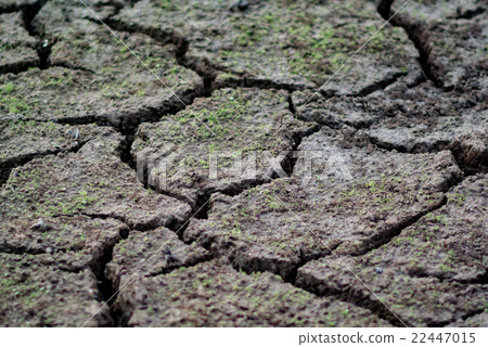 Dried land background (Selective focus) 22447015