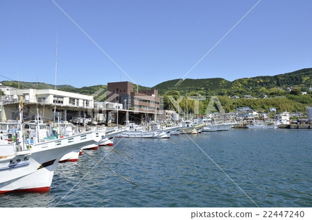 伊豆 - 名取漁港 22447240