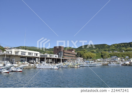 伊豆 - 名取漁港 22447241