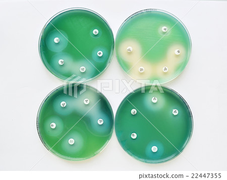 Antimicrobial susceptibility testing Antimicrobial susceptibility testing 22447355