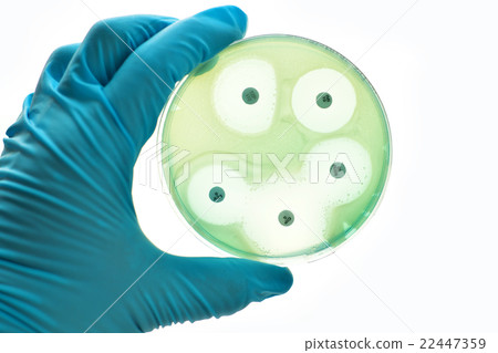 Antimicrobial susceptibility testing Antimicrobial susceptibility testing 22447359