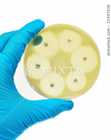 Antimicrobial susceptibility testing  22447836