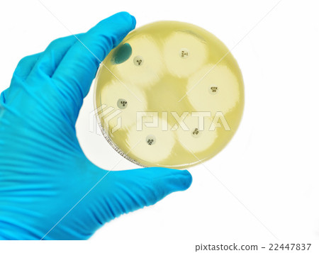Antimicrobial susceptibility testing Antimicrobial susceptibility testing 22447837