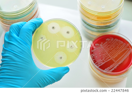Antimicrobial susceptibility testing  22447846
