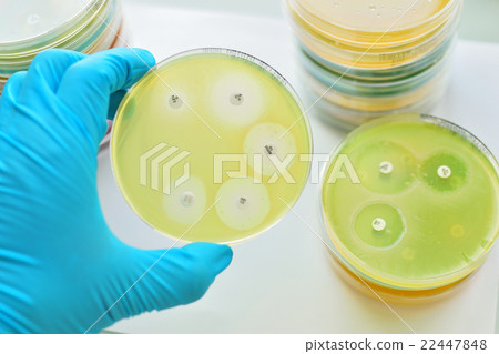 Antimicrobial susceptibility testing Antimicrobial susceptibility testing 22447848