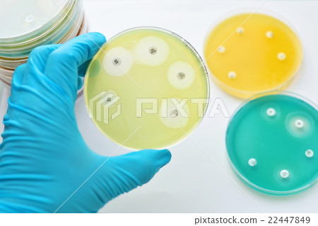 Antimicrobial susceptibility testing  22447849