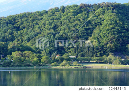 Kawaguchiko lacuna of fresh green 22448143