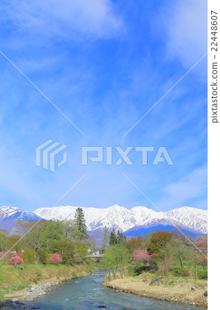 信州·長野縣白馬春天的北阿爾卑斯山 22448607