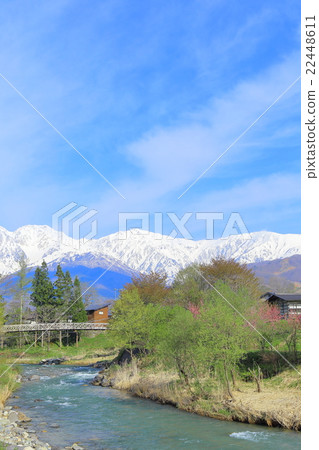 信州·長野縣白馬春天的北阿爾卑斯山 22448611