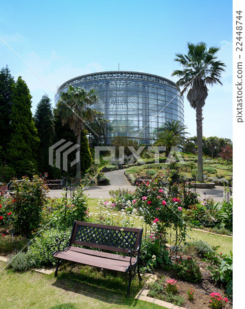 三洋媒體花博物館 千葉市花卉博物館 的花園和溫室 5 千葉市千葉市 照片素材 圖片 圖庫