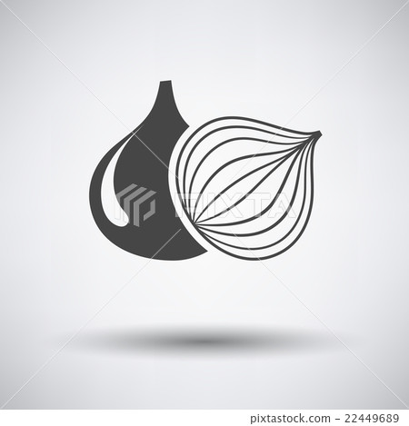 Onion icon on gray background 22449689