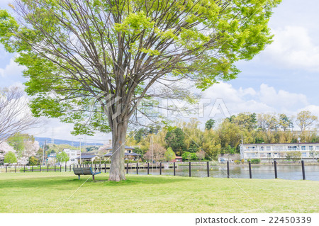 Spring Gate Park 22450339