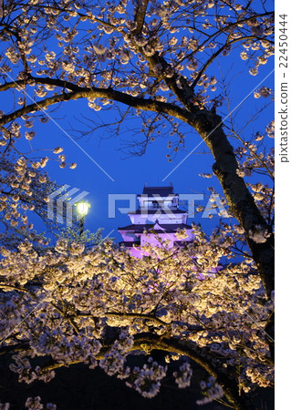 Tsurugajo Light Up 22450444