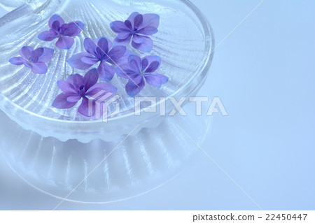漂浮在玻璃船水背景背景的八仙花屬花 漂浮在玻璃船水背景背景的八仙花屬花 22450447