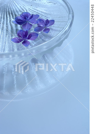 漂浮在玻璃船水背景背景的八仙花屬花 漂浮在玻璃船水背景背景的八仙花屬花 22450448