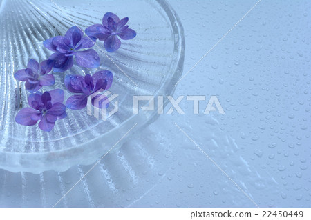漂浮在玻璃船水背景背景的八仙花屬花 漂浮在玻璃船水背景背景的八仙花屬花 22450449