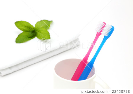 Toothbrush 22450758