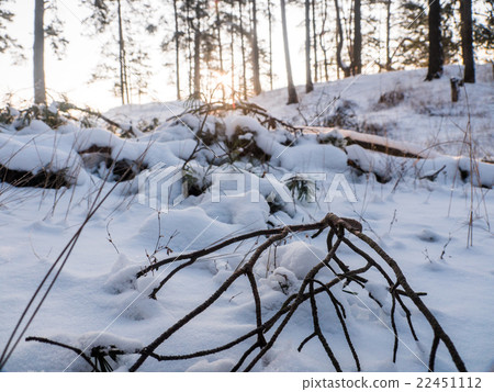 beautiful winter landscape 22451112