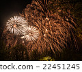 Big colorful fireworks  22451245
