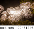 Big colorful fireworks  22451246