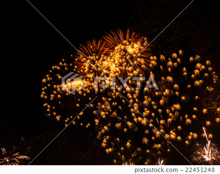 Big colorful fireworks  22451248
