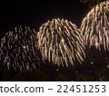 Big colorful fireworks  22451253