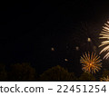 Big colorful fireworks  22451254