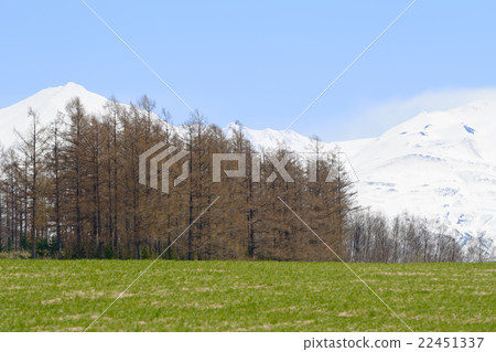 Hill of Biei Hokkaido and Daisetsuyama system 22451337