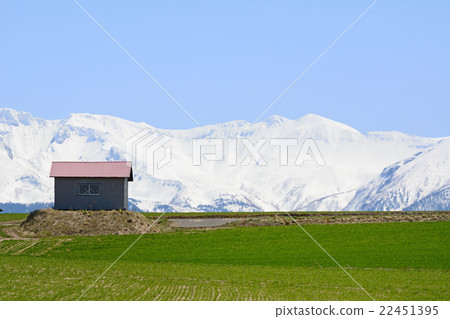 Hill of Biei Hokkaido and Daisetsuyama system 22451395