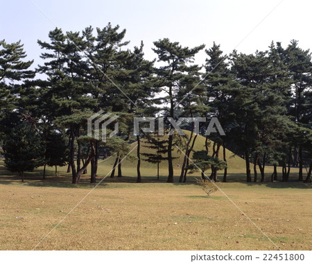 Taejong Warring Royal Tomb 22451800