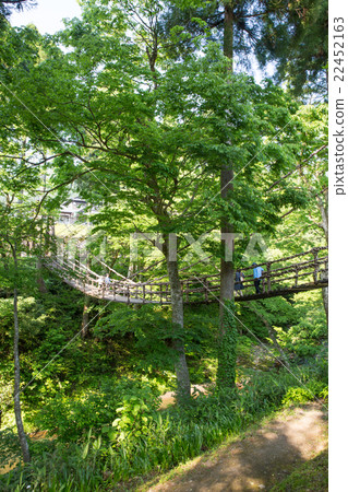 Kazura Bridge Kazura Bridge 22452163