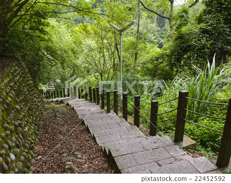 Staircase leading through the forest Staircase leading through the forest 22452592
