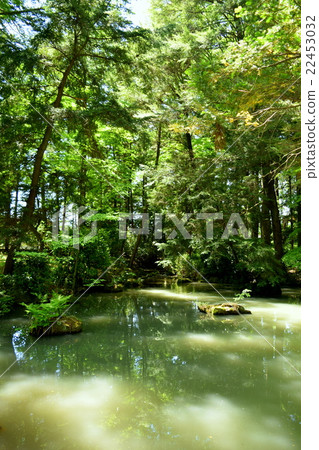 Pond of Hotaka Shrine Pond of Hotaka Shrine 22453032