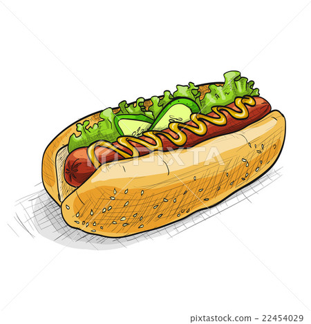 hot dog, color picture hot dog, color picture 22454029
