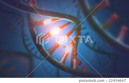 DNA and RNA molecules 22454647