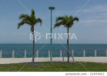 A view of the seaside, a road park near the center of the underwater road, Uruma-shi, Okinawa 22454921