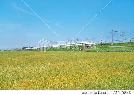 Shinkansen running in the bread zone 22455258