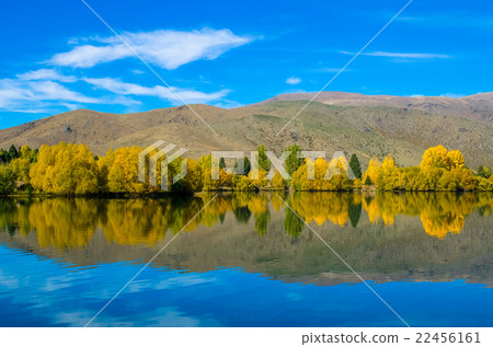 Autumn reflections at Wairepo Arm, Lake Ruataniwha 22456161