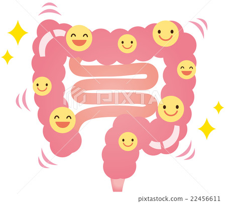 腸道細菌乳酸菌健康 22456611