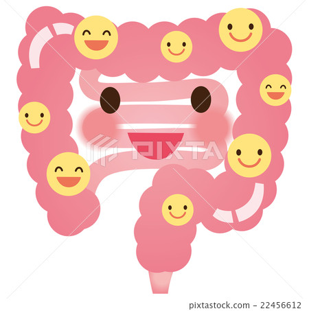 腸道細菌乳酸菌健康 22456612